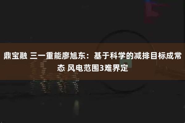 鼎宝融 三一重能廖旭东：基于科学的减排目标成常态 风电范围3难界定