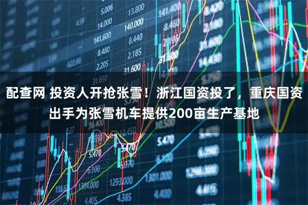 配查网 投资人开抢张雪！浙江国资投了，重庆国资出手为张雪机车提供200亩生产基地