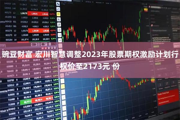 豌豆财富 宏川智慧调整2023年股票期权激励计划行权价至2173元 份