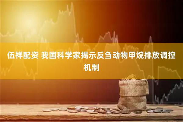 伍祥配资 我国科学家揭示反刍动物甲烷排放调控机制
