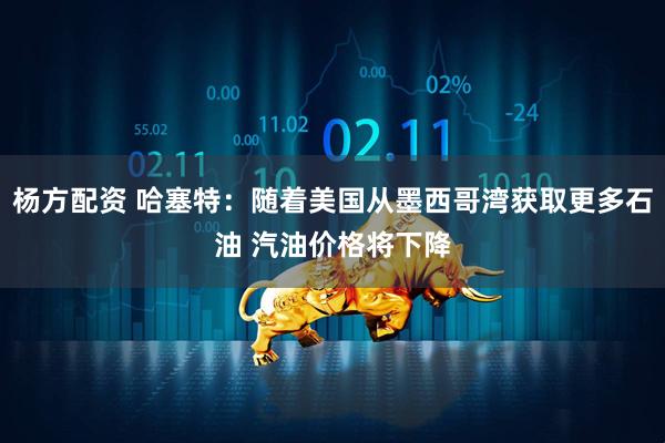杨方配资 哈塞特：随着美国从墨西哥湾获取更多石油 汽油价格将下降