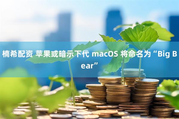 楠希配资 苹果或暗示下代 macOS 将命名为“Big Bear”