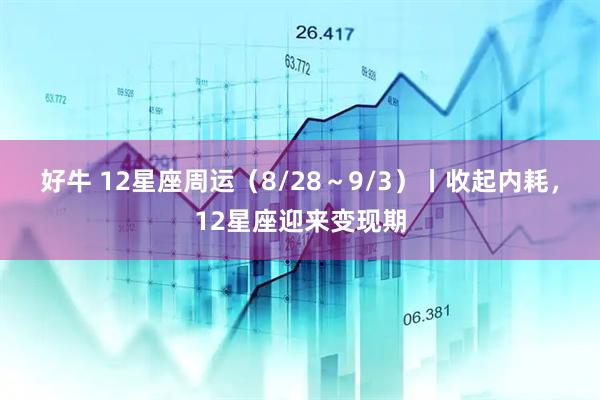 好牛 12星座周运（8/28～9/3）丨收起内耗，12星座迎来变现期